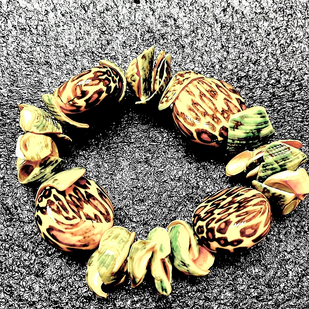 Glossy Snail Shell/Glass Stone Elastic Bracelet - image 5